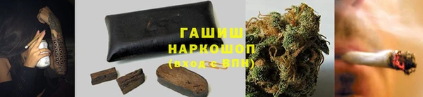 spice Новозыбков