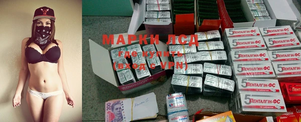 дмт Карпинск