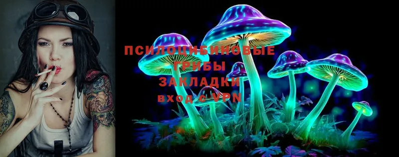 наркошоп  shop состав  Галлюциногенные грибы Magic Shrooms  Оса 