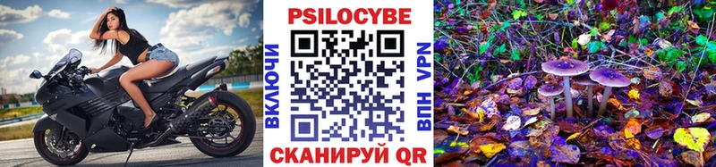 Псилоцибиновые грибы Psilocybine cubensis Оса